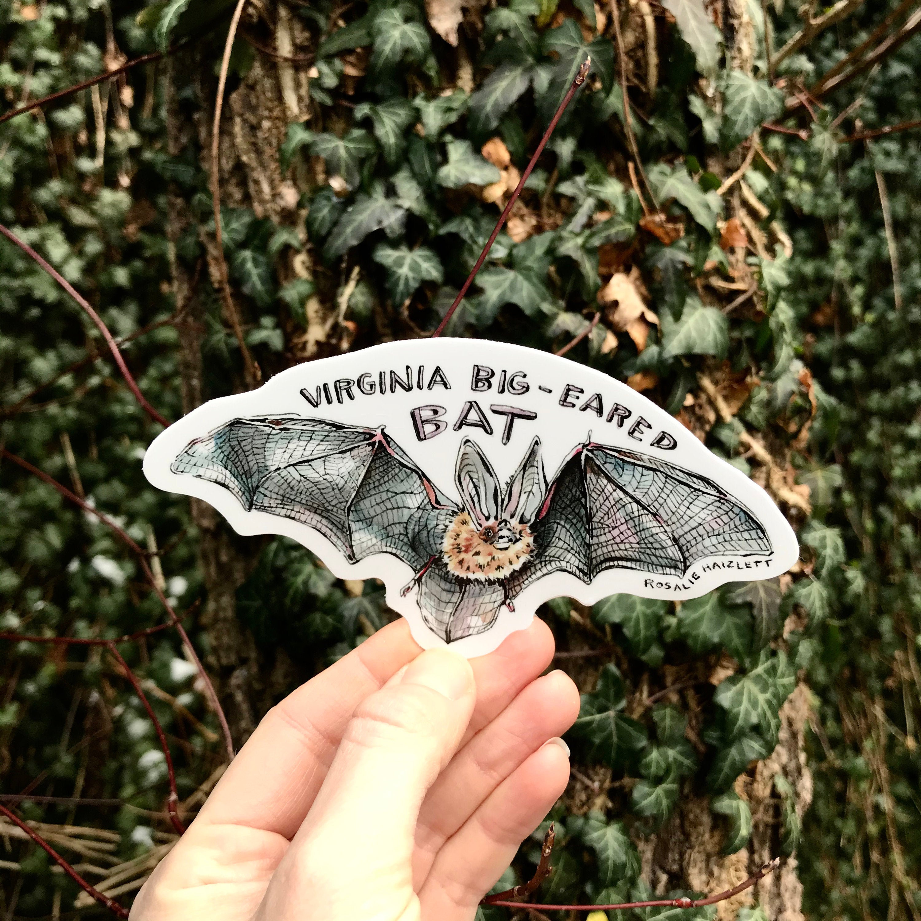 Bat Sticker - Waterproof, Vinyl
