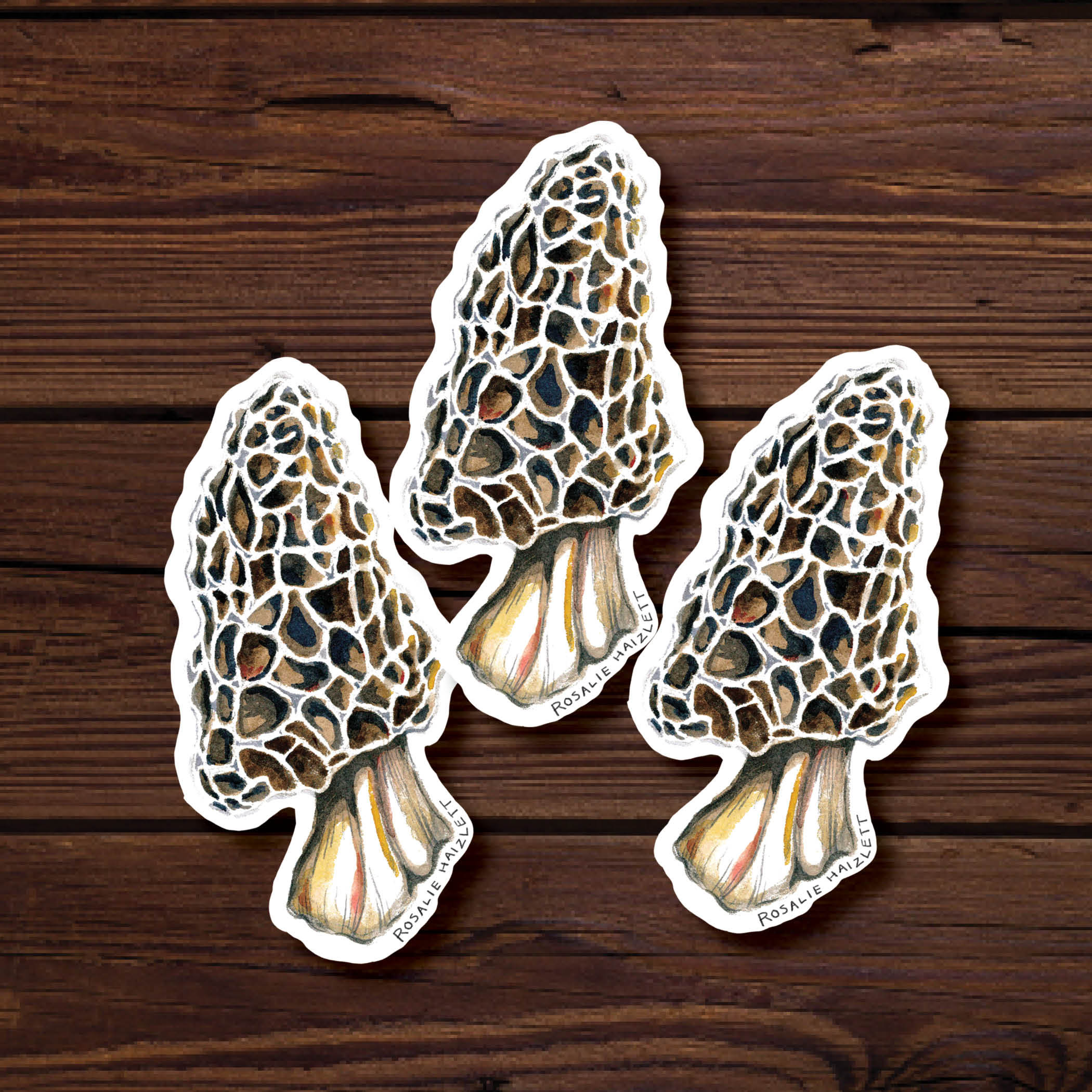 Morel Mushroom Stickers Set of 3 Etsy
