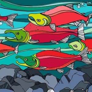 Red Run Salmon Art Print  Fish art Salmon Print Sockeye Salmon Painting Spawning Salmon Fish artwork alaskan art alaska art colorful
