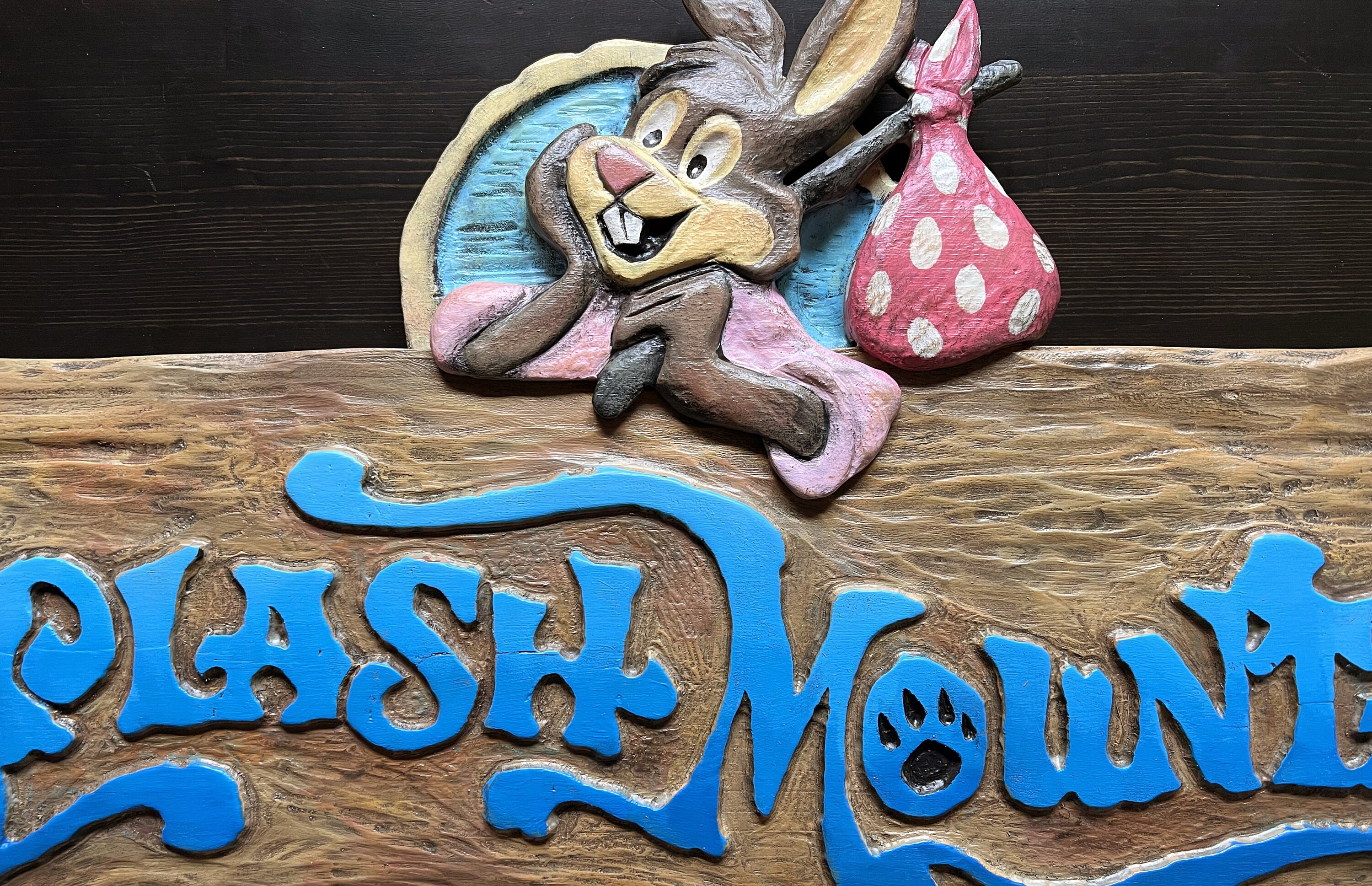 Walt Disney World Splash Mountain Hand Carved Wooden Sign - Etsy