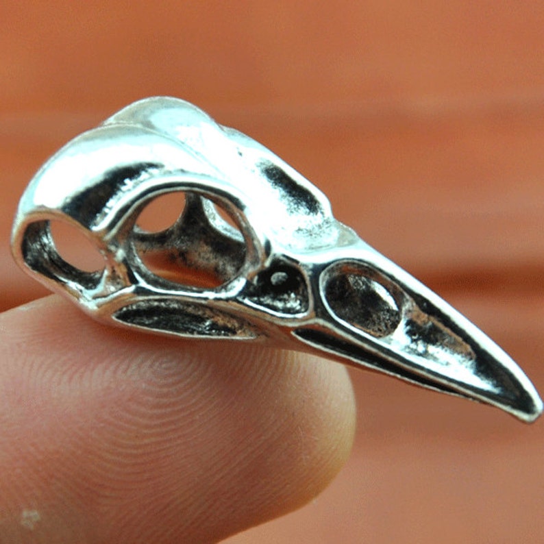 May include: Silver-toned bird skull charm pendant. The charm is detailed and has a hollowed-out eye socket.