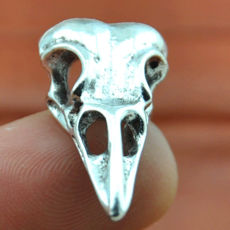 May include: A silver bird skull pendant charm. The skull is detailed with eye sockets and a beak.