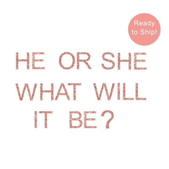 He Or She Rose Gold Glitter Garland, What Will It Bee Letter Banner, Gender Reveal Banner, Gender Reveal Decoration, Baby Shower,Girl or Boy Il_570xn