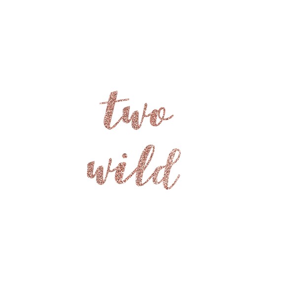 Two Wild Glitter Banner, Two Wild Birthday, Birthday Banner, Jungle Theme Birthday, 2 Wild Birthday, 2 Wild Theme, 2nd Birthday, Too Wild Il_570xn