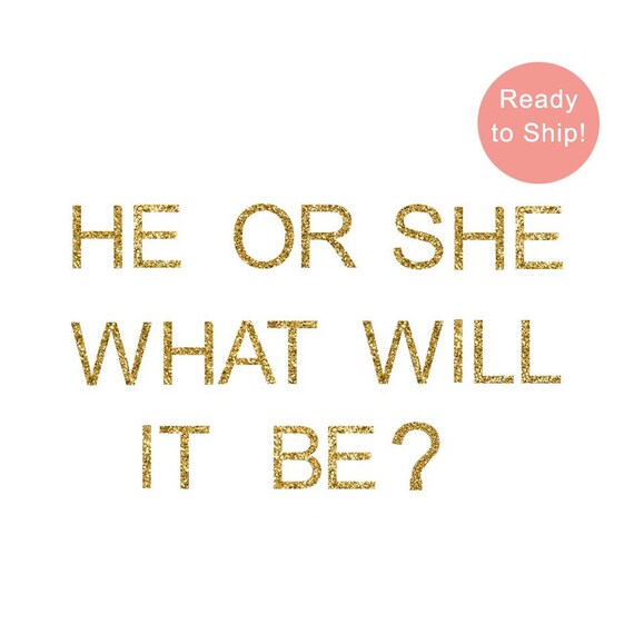 He Or She Gold Glitter Garland, What Will It Bee Letter Banner, Gender Reveal Banner, Gender Reveal Decoration, Baby Shower Bee Theme Il_570xn