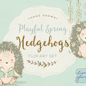 Conjunto de clipart de ouriço de primavera: clipart de ouriços fofos, clipart doce, download instantâneo de clipart de hedgie com arquivos PNG para uso comercial