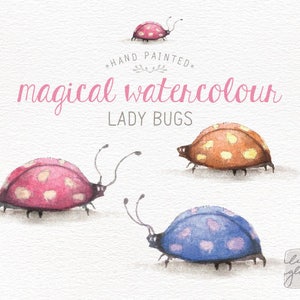 Coccinelle acquerello: clipart PNG / 3 stravaganti clip art coccinelle compleanno / uso commerciale / arte della scuola materna / arredamento per bambini / CM0076-coccinella