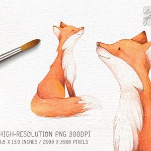 Watercolor fox: hand painted fox clipart / woodland nursery art / animal clip art / childrens birthday / baby birth announcement / CM0084 image 2