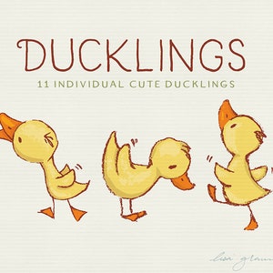 Spring duckling clipart set: ducklings clip art, sweet clipart, instant download cute duck clipart with PNG files for commercial use image 3