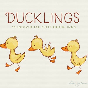 Spring duckling clipart set: ducklings clip art, sweet clipart, instant download cute duck clipart with PNG files for commercial use image 5