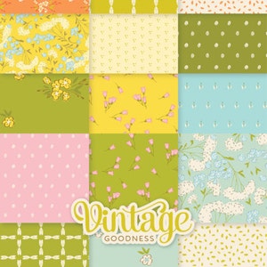 Puede incluir: Un conjunto de 45 patrones digitales sin costuras que presentan una variedad de dise&ntilde;os florales y geom&eacute;tricos en un estilo vintage. Los patrones est&aacute;n en una variedad de colores, incluyendo rosa, amarillo, verde, azul y blanco. Los patrones son perfectos para usar en scrapbooking, creaci&oacute;n de tarjetas, dise&ntilde;o de telas y m&aacute;s.