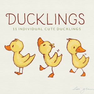 Spring duckling clipart set: ducklings clip art, sweet clipart, instant download cute duck clipart with PNG files for commercial use image 4