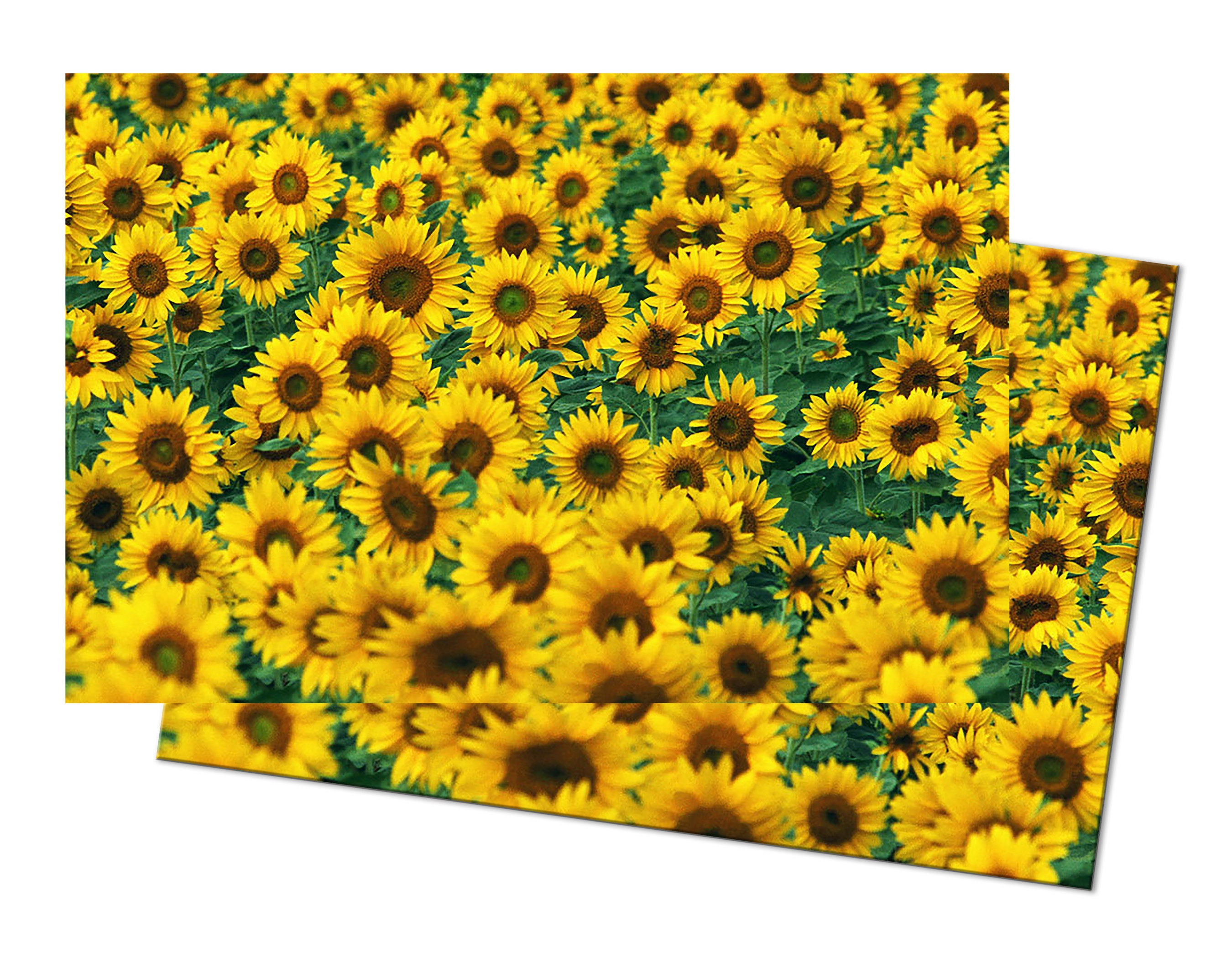 Sunflower Wedge Placemat for Round Tables Tactile Basket Etsy