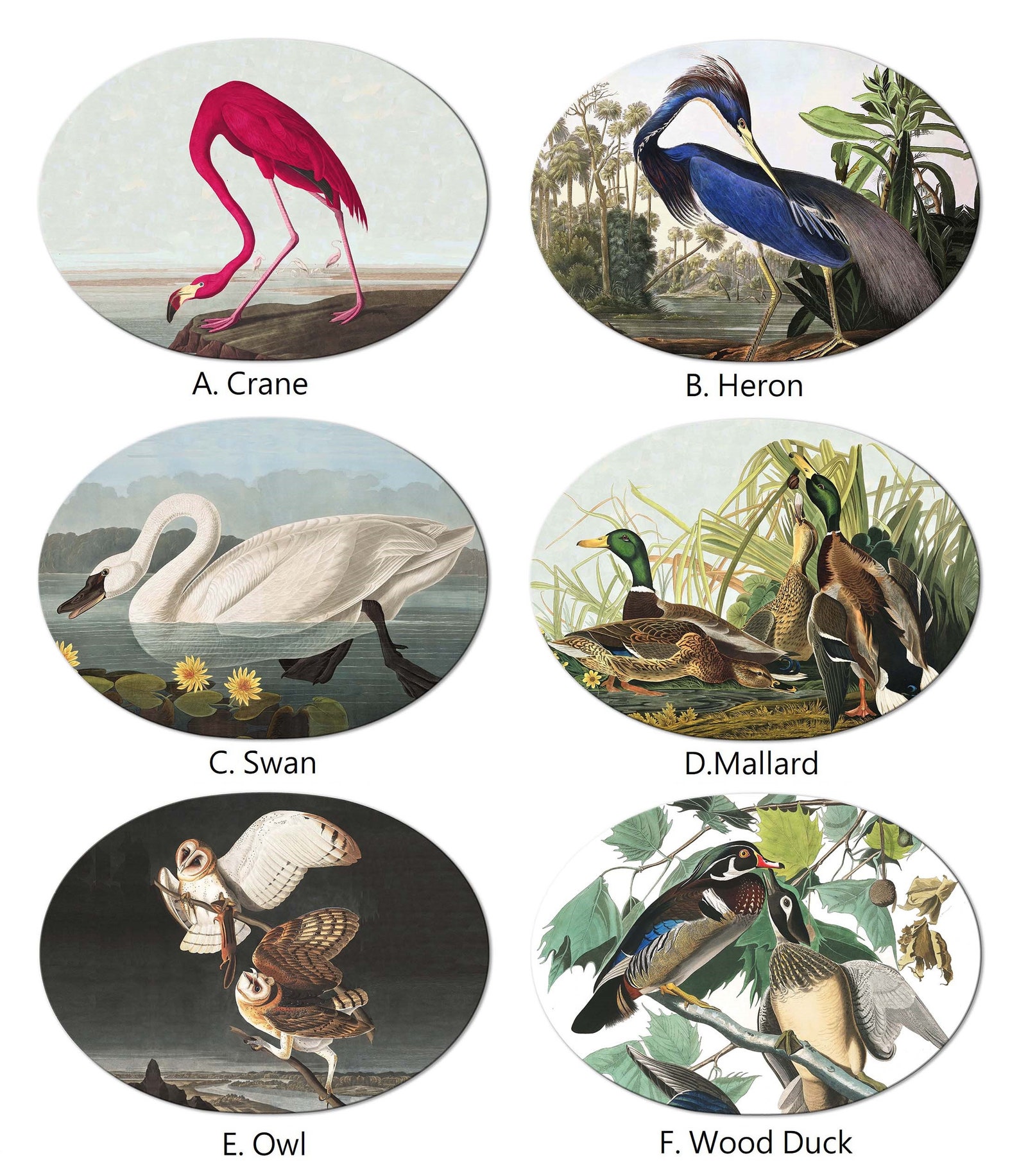 Audubon Bird Oval Placemats for Round Tables Tactile Basket Etsy