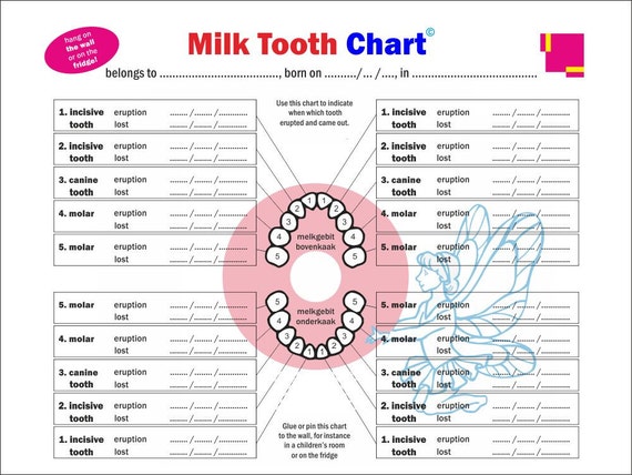 Tooth Letter Chart