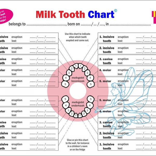 Ausdruckbare Milchzähnekarte >Firsty<  (dowloadable pdf)