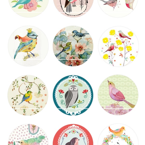 452# Oiseaux et fleurs Vintage Chic 12 Images/Dessins digitales pour cabochon 25/20/18/16/15/14/12/10/8 mm Rond