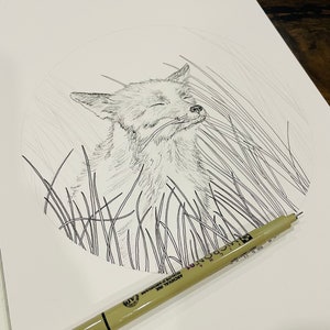 Happy Fox. Watercolour Circle Fox Print. Windy Grass Painting. imagem 4
