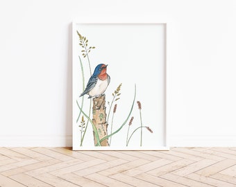 Resting Swallow. Watercolour Art Print. Peaceful Watercolour Painting.