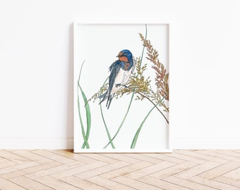 Barn Swallow Watercolour Art Print. Peaceful Watercolour Painting.