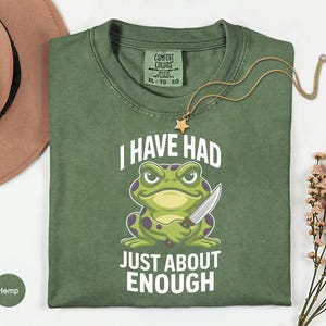 Angry Frog Shirt, Sarcastic Animal Lover Gift, Edgy Weirdcore Tee, Grumpy Toad Graphic, Chaos Frog Top