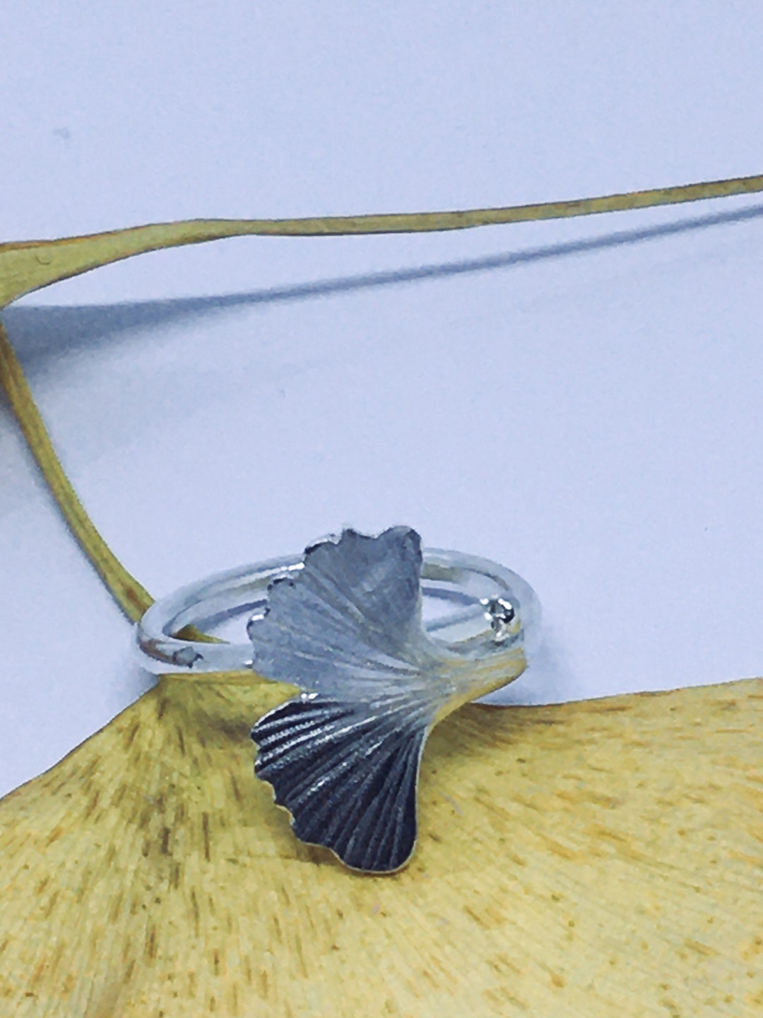 Chaîne De Cheville Maille Singapour En Argent Sterling 925 - Planetys | Finition Rhodiée, Hypoallergénique | Longueurs 23, 24 Ou 25 Cm