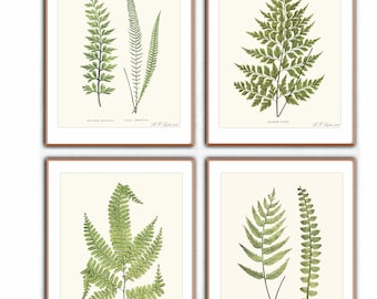 Fern Prints, Botanical wall art, Fern wall art, 11x14 fern print set, Fern, Nature wall art, botanical prints, Ferns, cottagecore decor