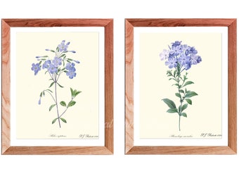 Blue Botanical Wall Art Set, Blue Botanical Print Pair, Blue flower print set, Blue flower wall art, Vintage Blue botanical print set