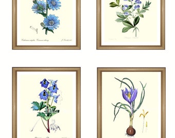 Blue flowers print Set. Botanical Print Set. ANY 4 blue flower prints. Blue wall art. Flower print set. 5x7" 8x10" 11x14"