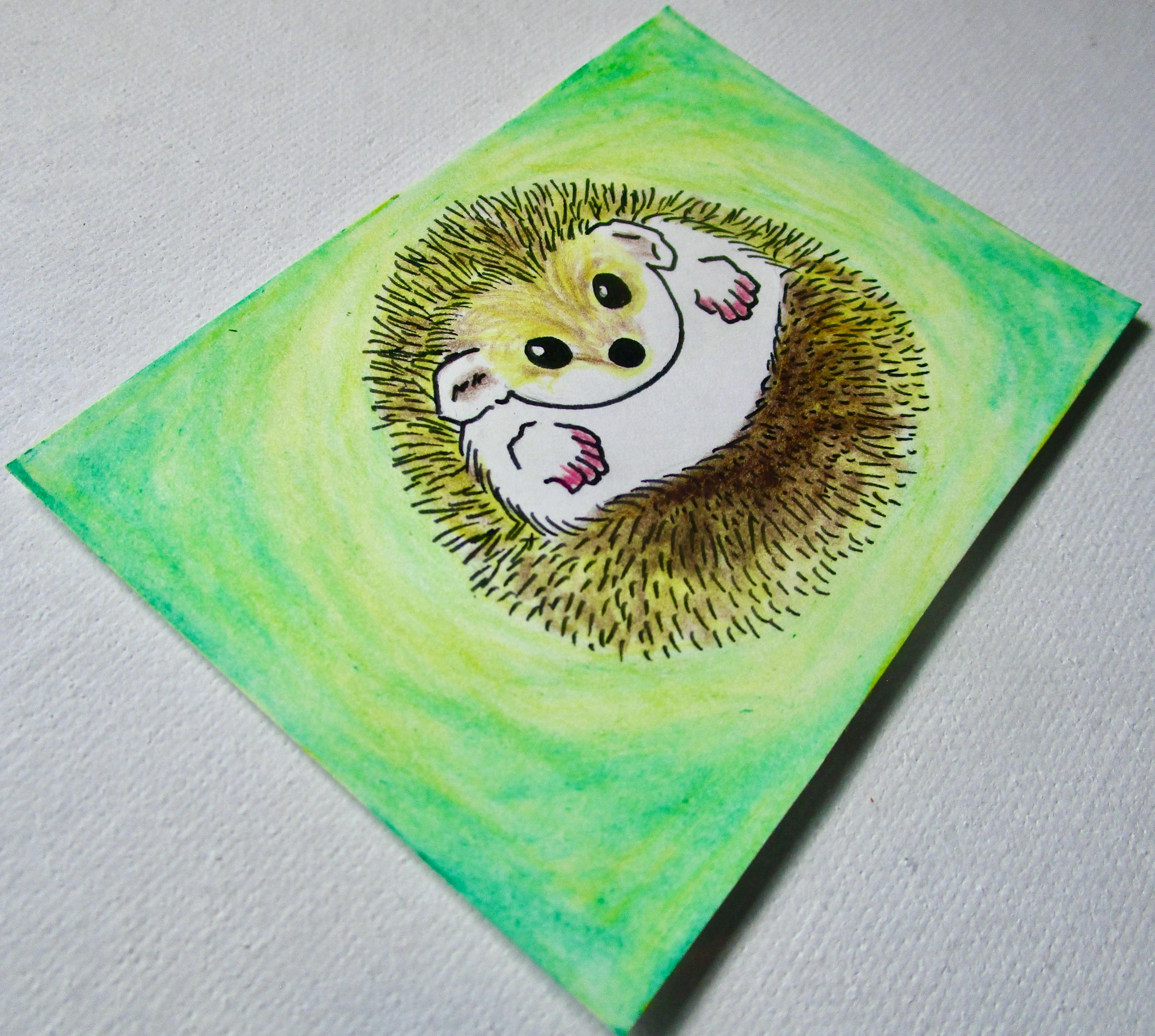 Lookin' Sharp, Hedgehog! #599 (ARTIST TRADING CARDS) 2.5