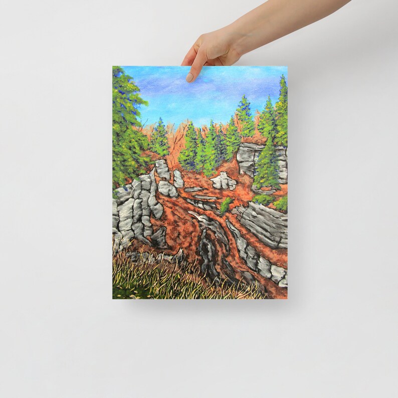 Watkins Glen (POSTER) by Mike Kraus - Art Trees Rocks Hikes Hiking ...