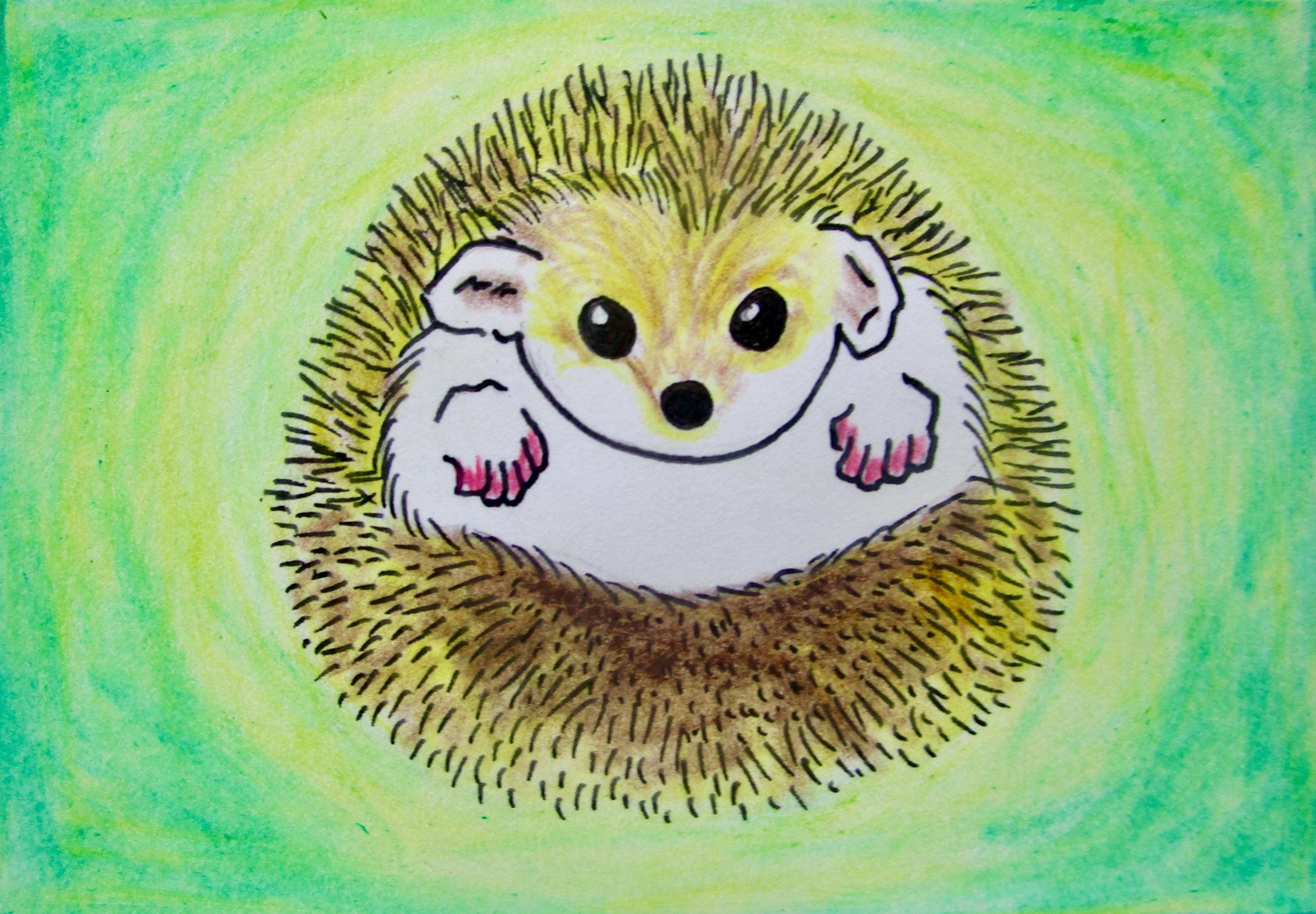 Lookin' Sharp, Hedgehog! #599 (ARTIST TRADING CARDS) 2.5