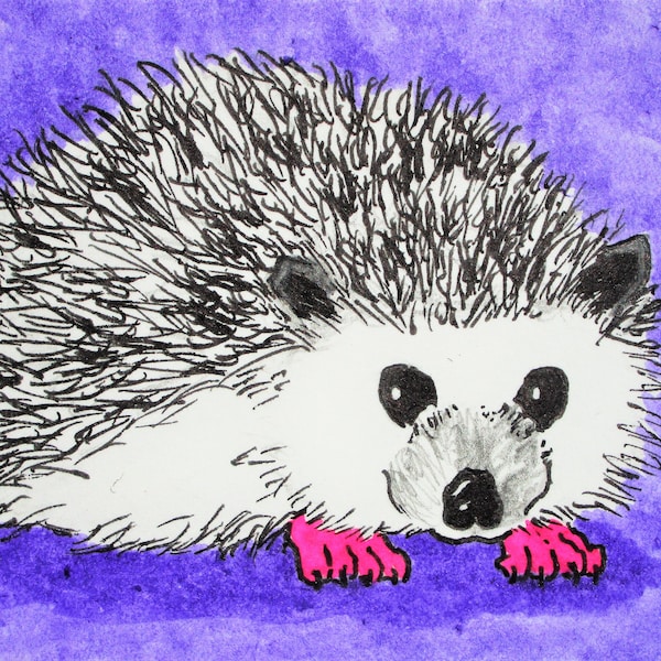 Lookin' Sharp, Hedgehog! #434 (ARTIST TRADING CARDS) 2.5" x 3.5" by Mike Kraus - aceo atc sonic animals pets wildlife nature endangered fun