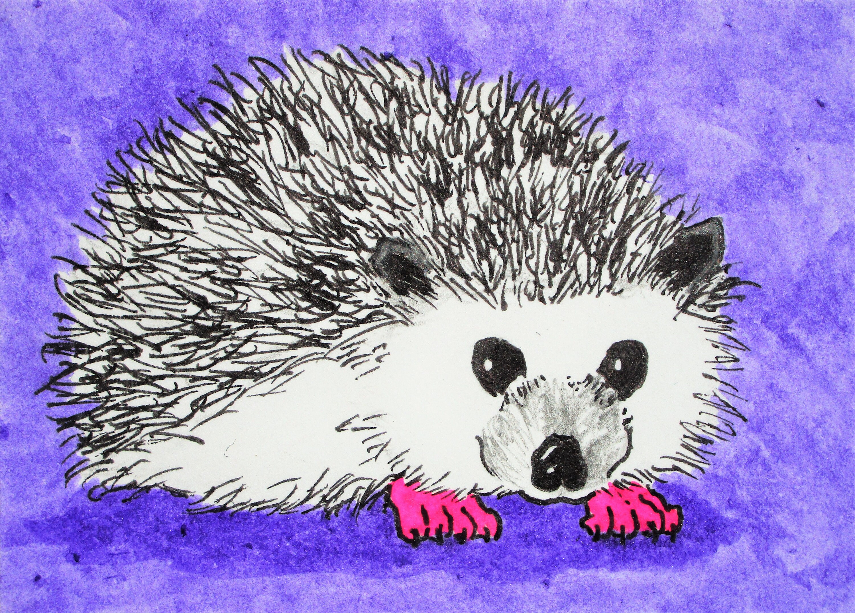 Lookin' Sharp Hedgehog 434 ARTIST TRADING CARDS - Etsy