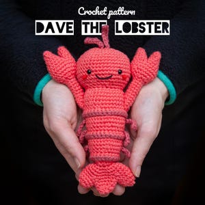 May include: A coral-colored crochet lobster toy with black bead eyes, a stitched smile, and small red cheek details. The text "Crochet pattern DAVE THE LOBSTER" is displayed above the lobster, which features two large claws and a segmented tail.
