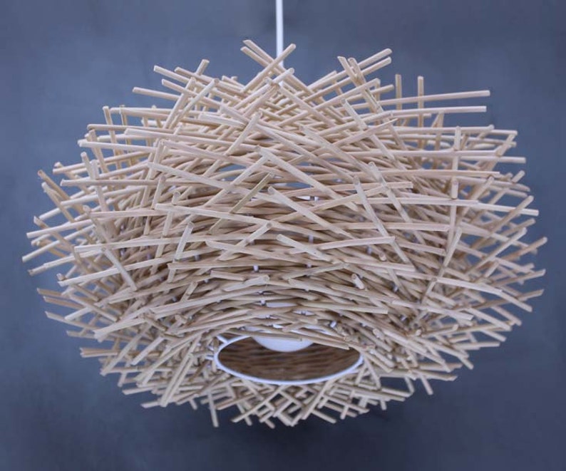Woodworking Plans For Bird Nesting Pendant Light Makers