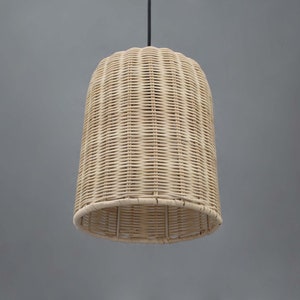 May include: A natural woven wicker pendant light fixture with a bell-shaped shade.