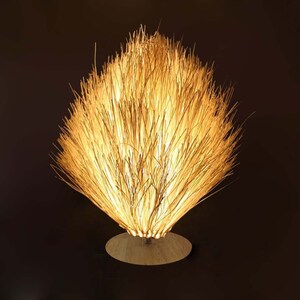May include: A table lamp with a unique design made of natural materials. The lampshade is made of a cluster of thin, light brown, dried grasses that resemble a bush. The base is a round, wooden disc.