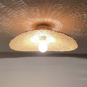 Plug in flush mount ceiling light deals