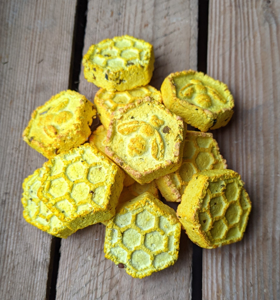 Bee Bombs/wildflower Seed Bombs/cracker Filler Etsy UK