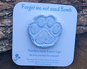 Forget me not Seed Bomb