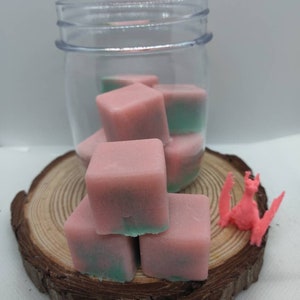 Sugar Scrub Cubes, Sweet Dragon&#39;s Watermelon Sugar Scrub Cubes, Gentle Exfoliating, Shea Butter, Cocoa Butter