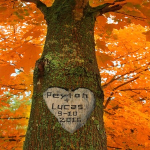 Personalized Wedding Gift Carved Heart Tree Autumn Fall Customized Names Photo Anniversary Valentines Day Invitation pp72