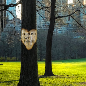 Personalized Wedding Gift Central Park New York Nyc Tree Heart Customized Names Photo Anniversary Valentines Day pp60 image 1