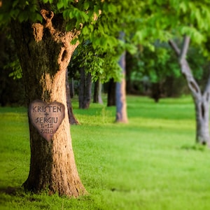 Personalized Wedding Gift Tree Trunk Carved Heart Customized Names Photo Anniversary Valentines Day Invitation pp63