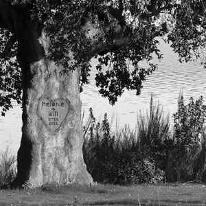 Tree Carved Names Heart Personalized Wedding Gift Black White Bw Customized Photo Anniversary Valentines Day Invitation pp41