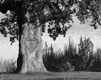 Tree Carved Names Heart Personalized Wedding Gift Black White Bw Customized Photo Anniversary Valentines Day Invitation pp41
