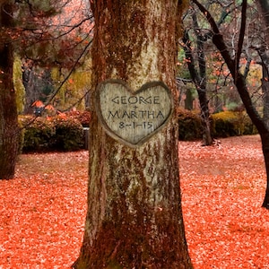 Personalized Wedding Gift - Carved Heart on Tree - Autumn Leaves in Color - Romantic Gift - Photo Anniversary pp98