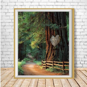 Cadeau de mariage personnalisé, parc national de Redwood, mariage en Californie, forêt de séquoias, cadeau d&#39;anniversaire personnalisé, cadeau de Saint-Valentin pp417