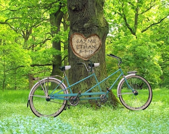 Personalized Wedding Gift - Tandem Bicycle Photo - Carved Heart on Tree - Unique Romantic Gift - Anniversary pp93